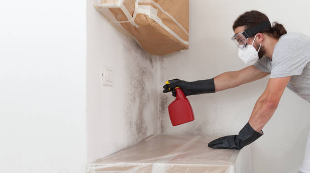 Professional Bathroom Mold Removal technician working in Farmington, PA