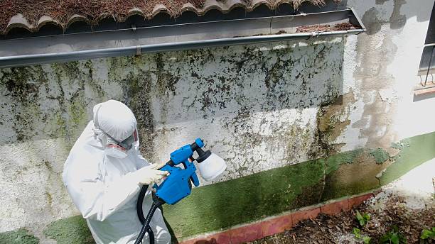 Top rated local Mold Remediation specialists in Farmington, PA